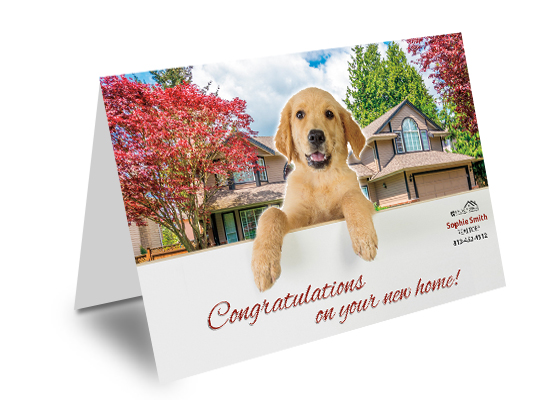 Real Estate Greeting Cards, Realtor Greeting Cards, Broker Greeting Cards, Greeting Cards, Real Estate Agent Greeting Cards, Real Estate Office Greeting Cards