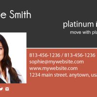 Platinum Realty Business Cards, Platinum Realty Agent Business Cards, Platinum Realty Realtor Business Cards, Platinum Realty Office Business Cards, Platinum Realty Broker Business Cards