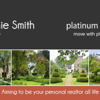 Platinum Realty Business Cards, Platinum Realty Agent Business Cards, Platinum Realty Realtor Business Cards, Platinum Realty Office Business Cards, Platinum Realty Broker Business Cards
